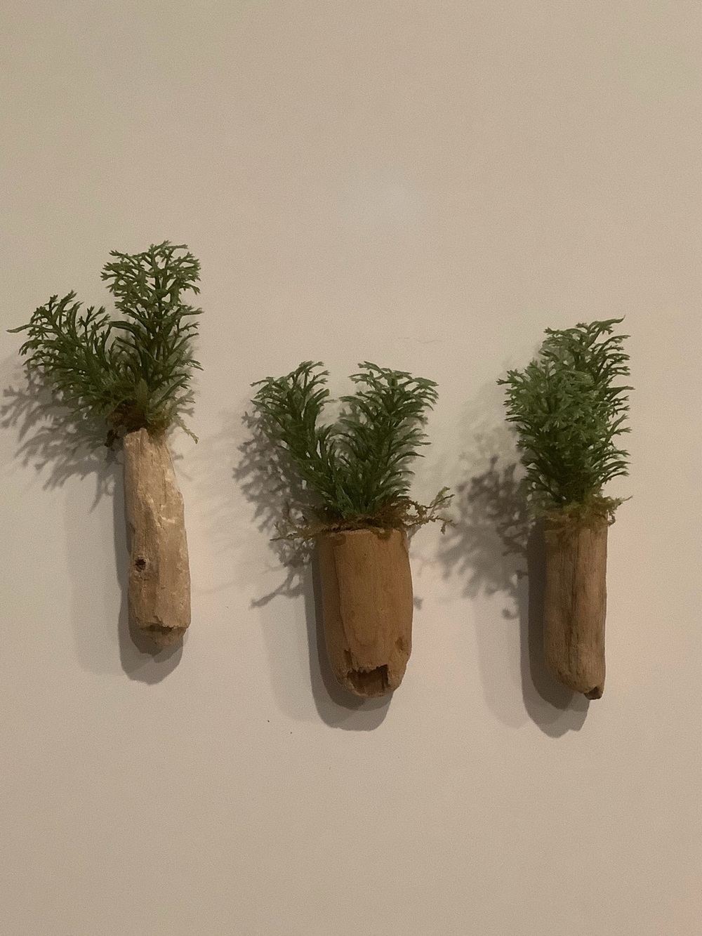 Driftwood Art, Driftwood Faux Plant Magnets, Driftwood Faux Greenery Coastal Art